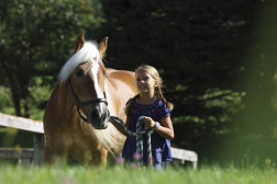Ausritt mit unseren Pferden - ein Erlebnis für Groß & Klein