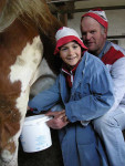 Frische Milch direkt von der Kuh - selbst Hand anfassen